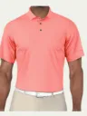 Ben Gogen pink polo.webp